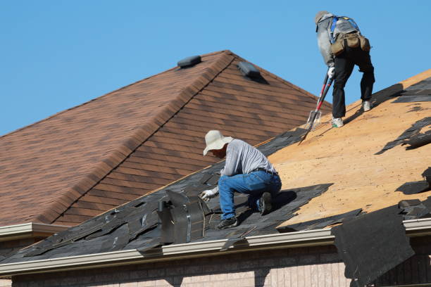 Professional Roofing service in Hampden Sydney, VA